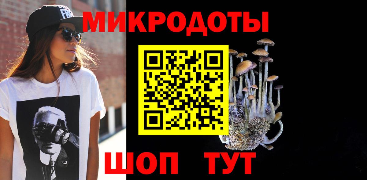 Псилоцибиновые грибы мицелий  купить наркотик  Ивантеевка  Вход с VPN 